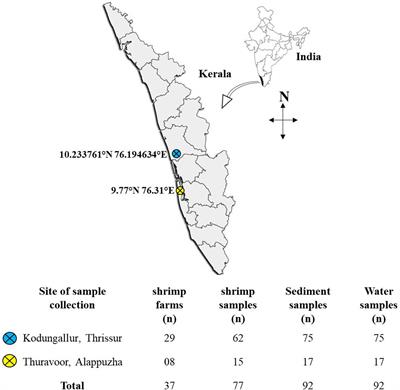 Antibiotic Resistance Profiles and Molecular Characteristics of Extended-Spectrum Beta-Lactamase (ESBL)-Producing Escherichia coli and Klebsiella pneumoniae Isolated From Shrimp Aquaculture Farms in Kerala, India